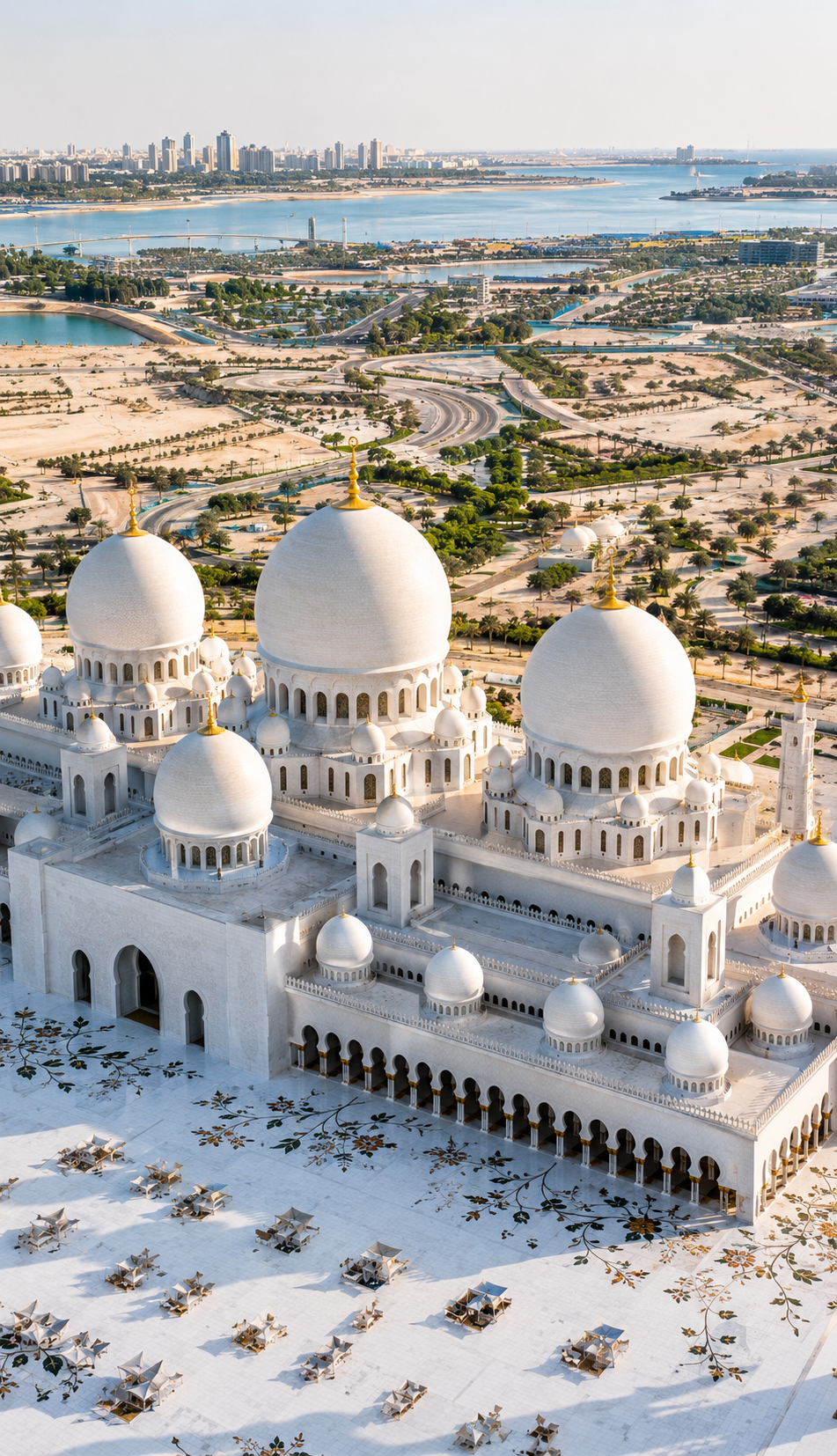 Aerial mosque view